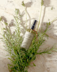 Perfume Eau de Leonora - 120ml