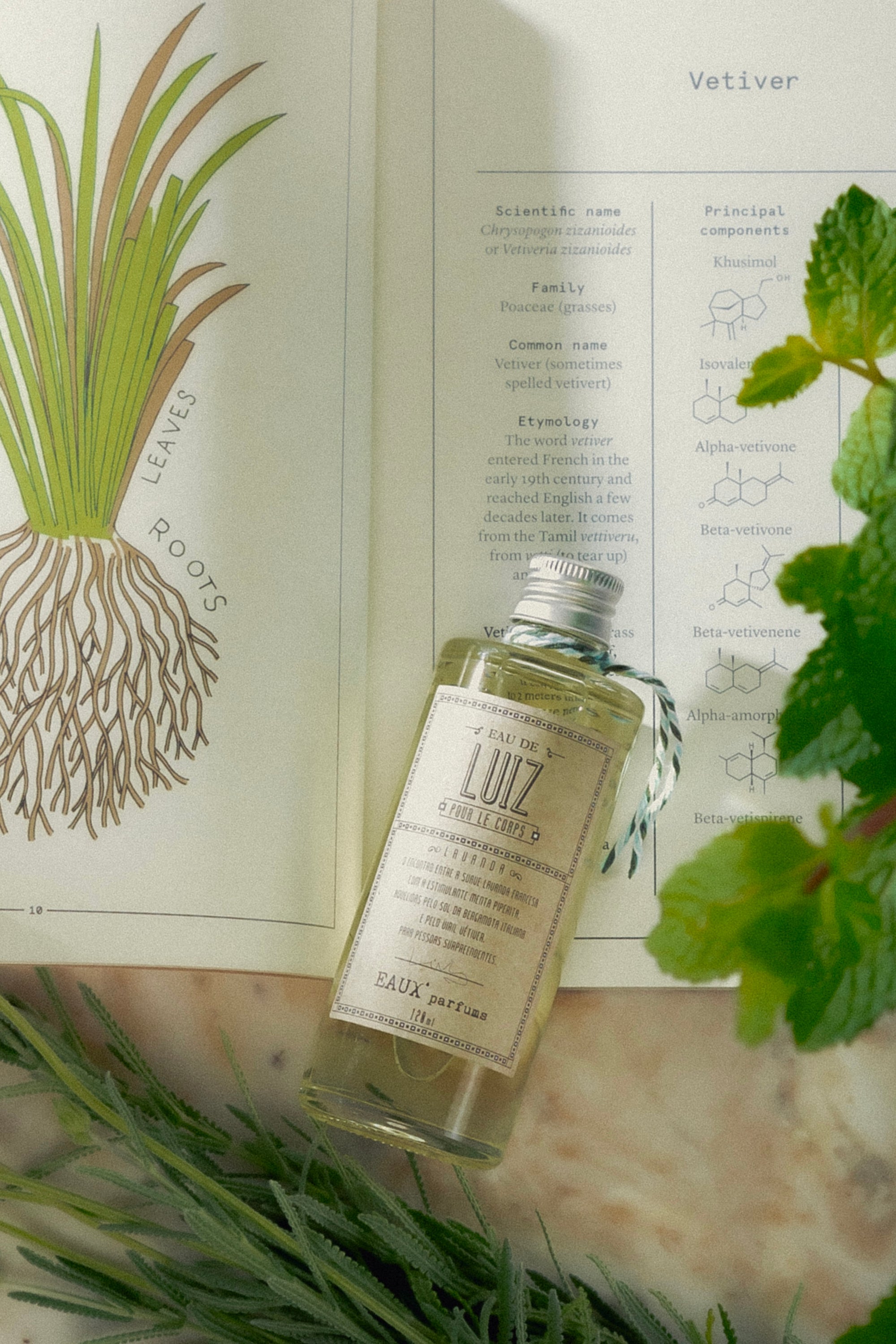 Perfume Eau de Luiz - 120ml